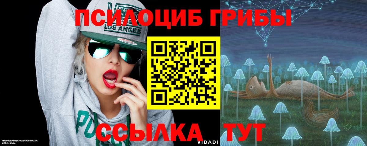 Карпинск  Псилоцибиновые грибы GOLDEN TEACHER  Псилоцибиновые грибы Psilocybe  Вход с VPN 